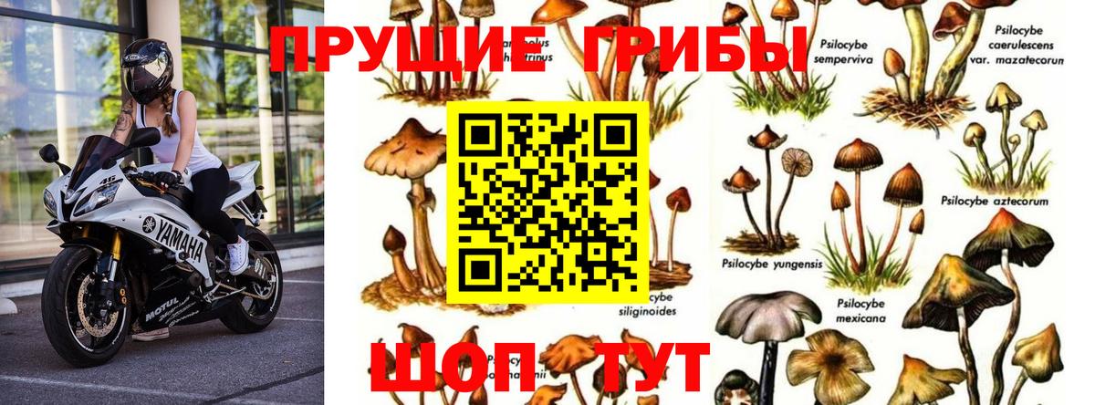 Альфа ПВП СК   Серпухов  Меф   МАРИХУАНА  Вход с VPN 