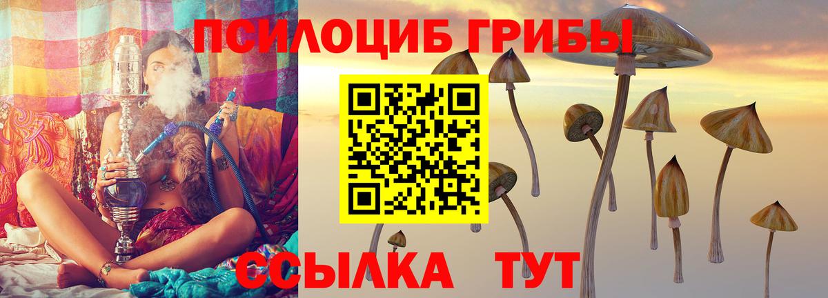 Серпухов  Псилоцибиновые грибы Psilocybe  Вход с VPN 