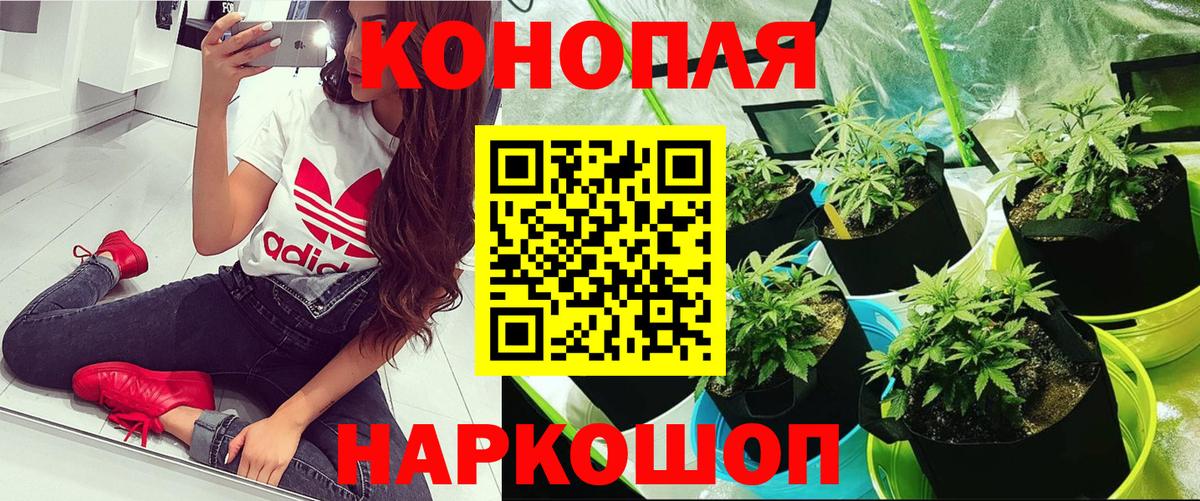 Конопля Ganja Серпухов